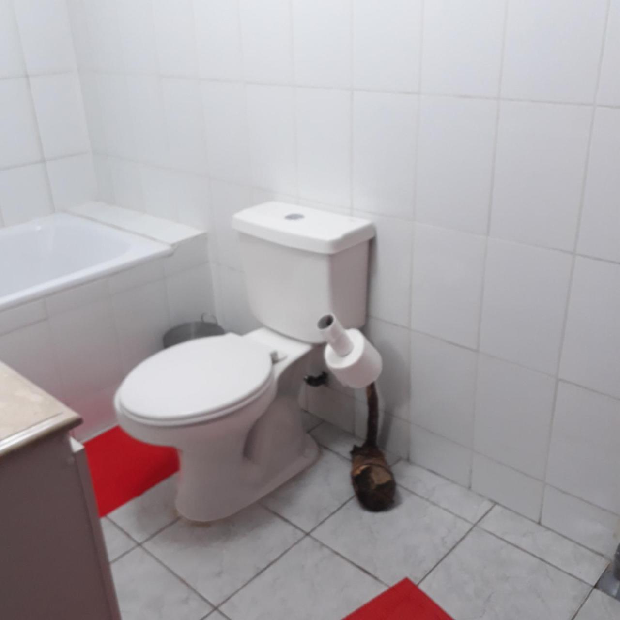 La Llar Hostel Panguipulli Kültér fotó