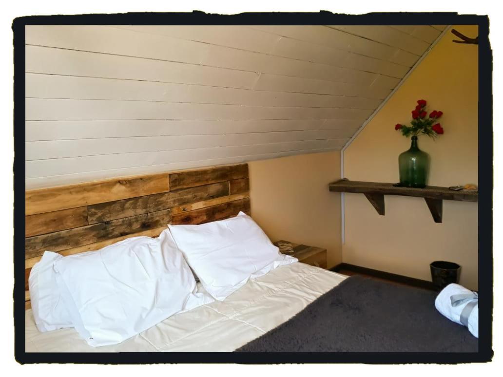 La Llar Hostel Panguipulli Kültér fotó